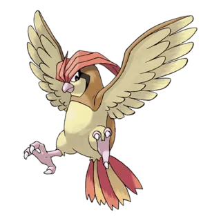 Roucoups Pokémon GO