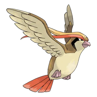 Pidgeot Pokémon GO