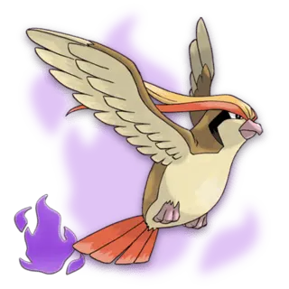 Roucarnage Obscur Pokémon GO
