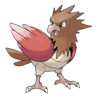 Spearow Pokémon GO