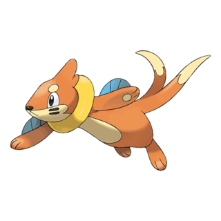 Buizel