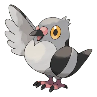 Pidove Pokémon GO