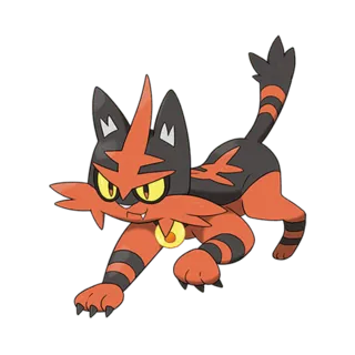 Torracat Pokémon GO