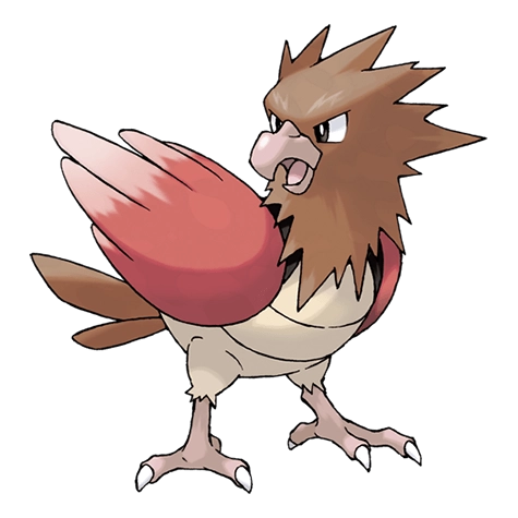 Spearow - Best Moves, Counters, Max Cp, Shiny Form