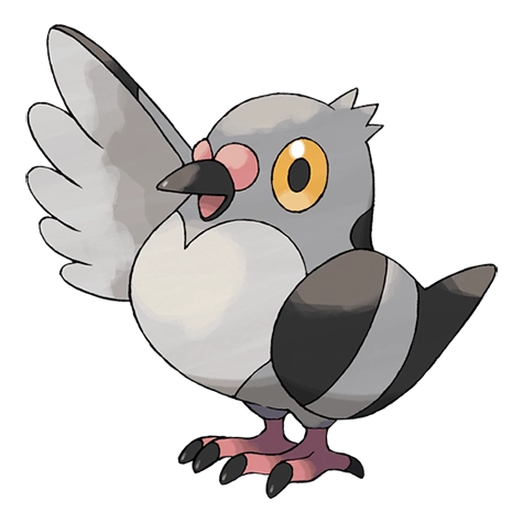 Shadow Pidove - Best Moves, Counters, Max CP, Shiny Form