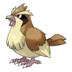 Pidgey Pokémon GO