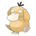 Psyduck Pokémon GO