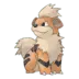 Growlithe Pokémon GO
