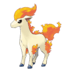 Artwork of Ponyta from Pokémon GO