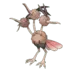 Dodrio Pokémon GO