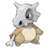 Cubone Pokémon GO