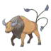 Tauros Pokémon GO