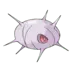 Blindalys Pokémon GO