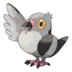 Poichigeon Pokémon GO