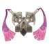 Dimoclès Pokémon GO