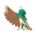 Archéduc Pokémon GO
