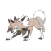 Artwork of Midday Lycanroc from Pokémon GO