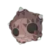 Minior Pokémon GO