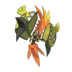 Tapu Koko Pokémon GO
