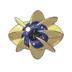 Cosmoem Pokémon GO