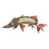 Hastacuda Pokémon GO