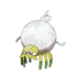 Tissenboule Pokémon GO