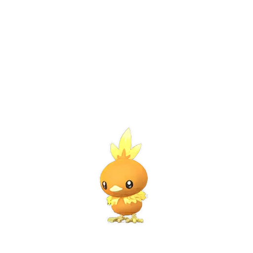 Torchic