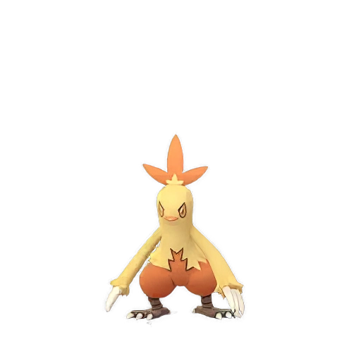 Combusken oscuro (Shadow)