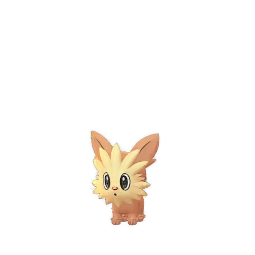 Lillipup
