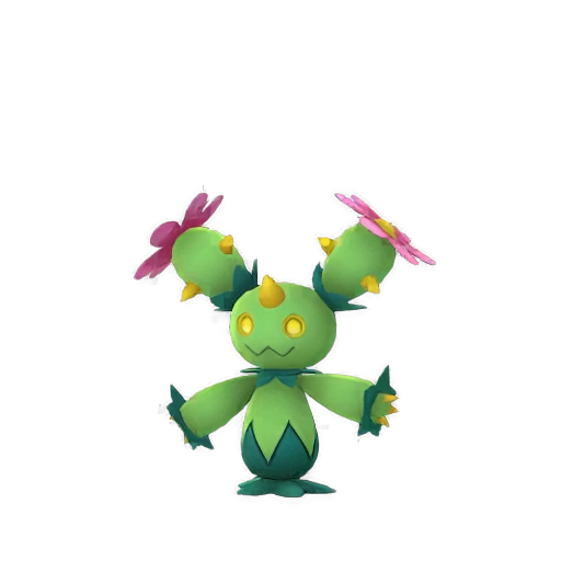 Maractus