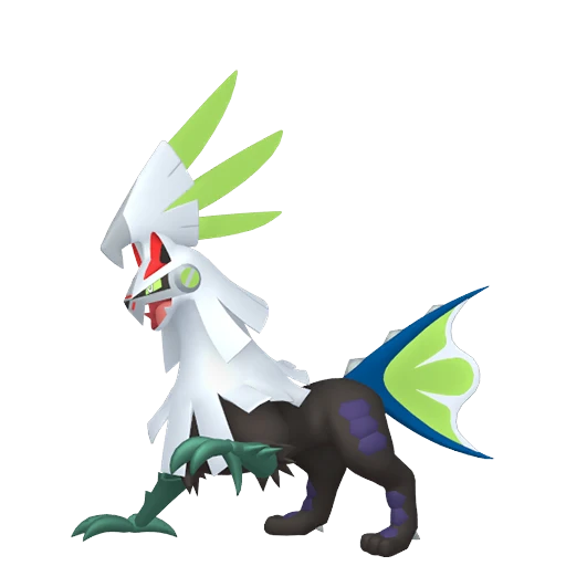 Silvallié (Insecte) (Bug)