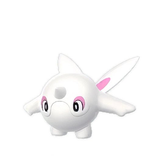 Cetoddle
